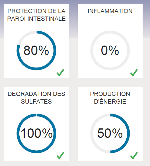 Bilan Gniom/Check