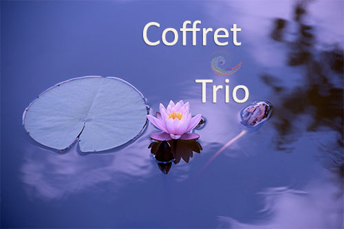 Coffret trio Aria Bien Etre