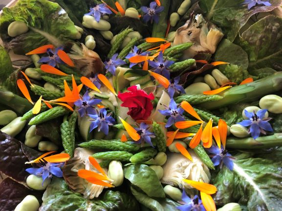salade de printemps consultation naturopathie lyon salade de printemps